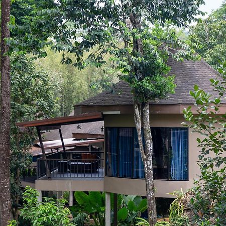 Rock And Tree House Resort Khao Sok National Park Eksteriør bilde