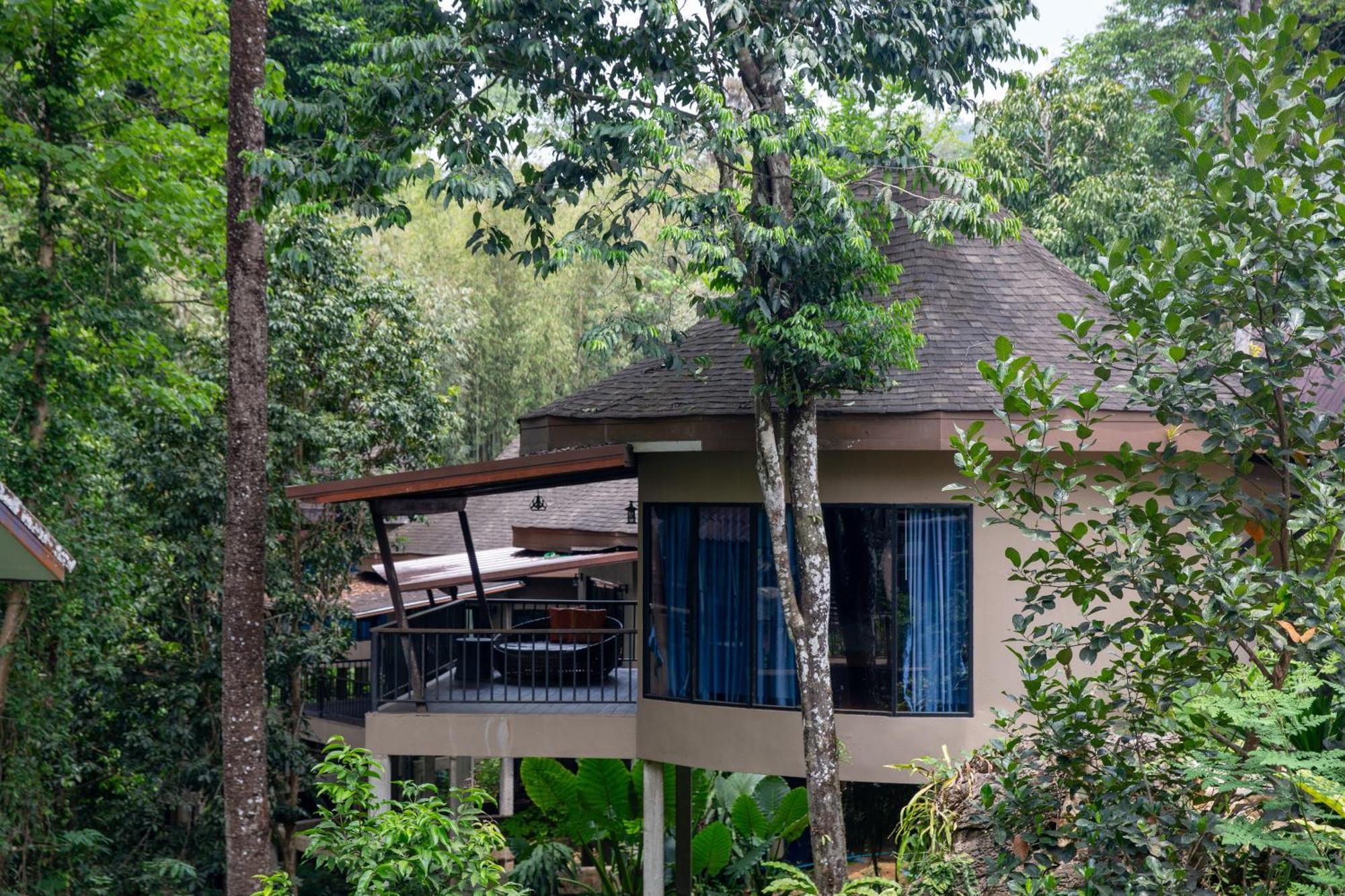 Rock And Tree House Resort Khao Sok National Park Eksteriør bilde